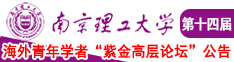 大鸡巴操爽逼视频南京理工大学第十四届海外青年学者紫金论坛诚邀海内外英才！